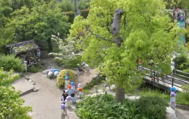 くすの木幼稚園の園庭の木々