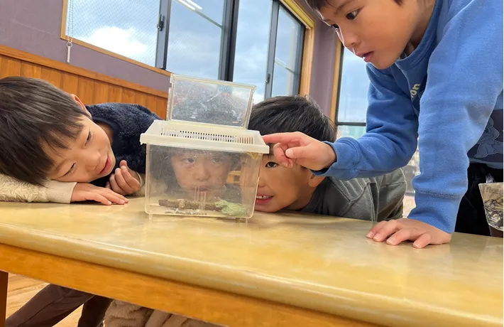 飼育ケースの昆虫を観察する森の木学童クラブの子供たち