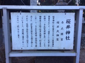 20150102sakurai3