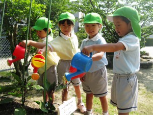 早く大きくならないかな＆異年齢保育(春木)