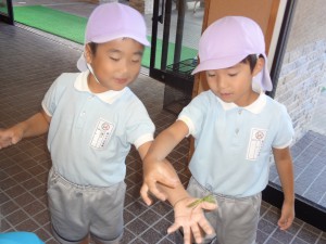 森の仲間と…！明日は☆森の木ランド☆告知！(伊藤)