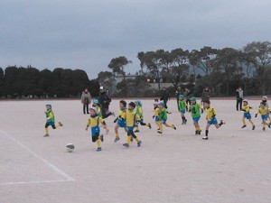 頑張る森っ子達！（鷹取）