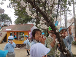 春が来た ♫ &先生クイズの答え合わせ!(出口・森川)