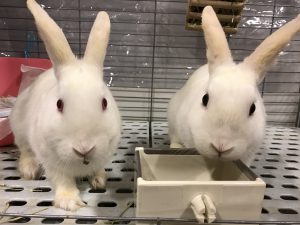 飼育担当です⁈(松尾)