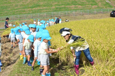 田植え→見学→稲刈りを通して（森の木　伊藤）