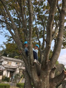 天拝山登山