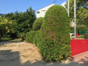 私の夏休み☆ありがとうビッグシャッフル!(田中)