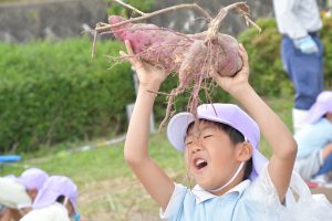 『芋掘り』おかげさまです