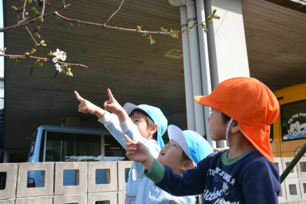 今日のもみっ子は?(内田)