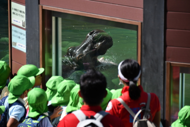園外保育 〜Let’s go to the Zoo!〜