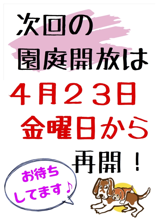 園庭開放のお知らせ