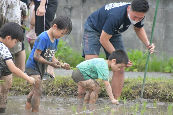 田植えで思い出すコト