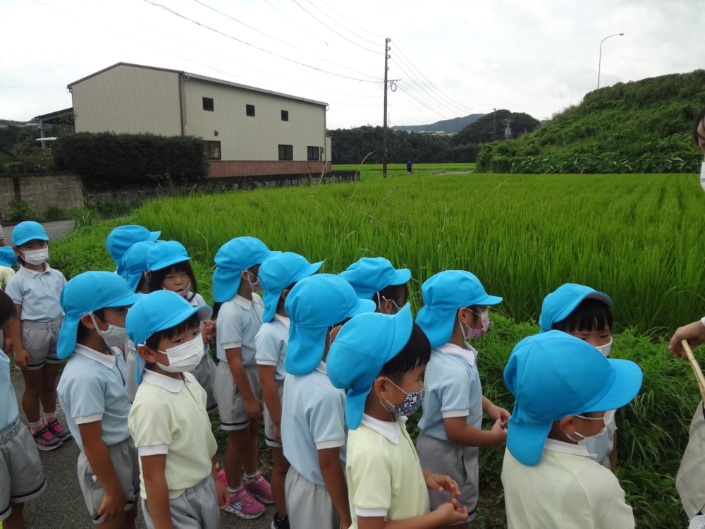 田んぼ見学！（手塚）