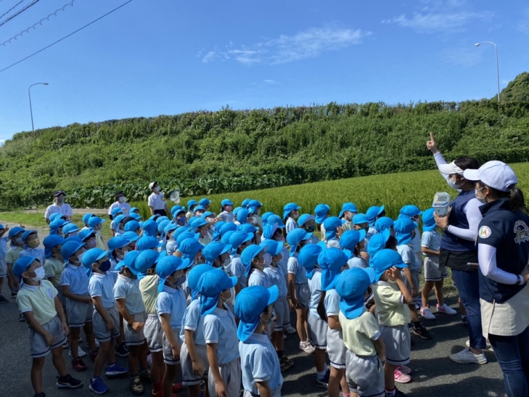 見てもらいたい！＆年長組田んぼ見学(朝倉)