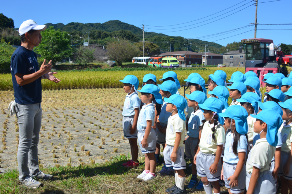 稲刈り・枝豆採り！※いつもより写真多めです（小嶺）