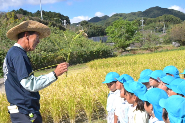 「実るほど頭を垂れる稲穂かな」