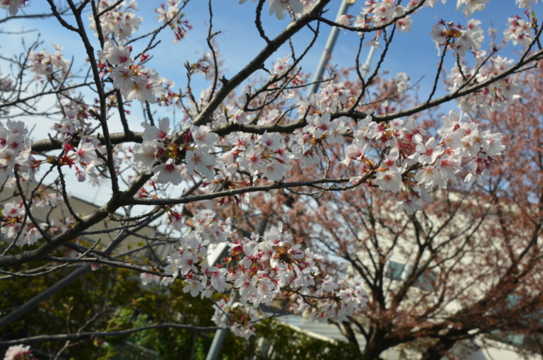 令和４年度も頑張るぞ！(黒木)