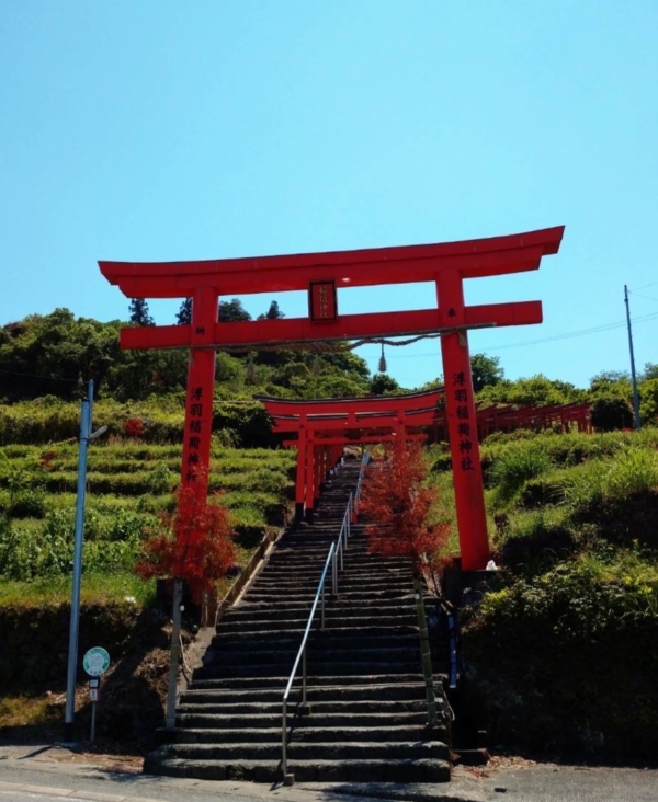 ご縁を大切に（諸熊）