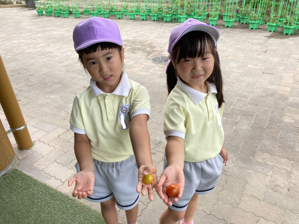 年中特集!・でんでんむし(真﨑・森川)