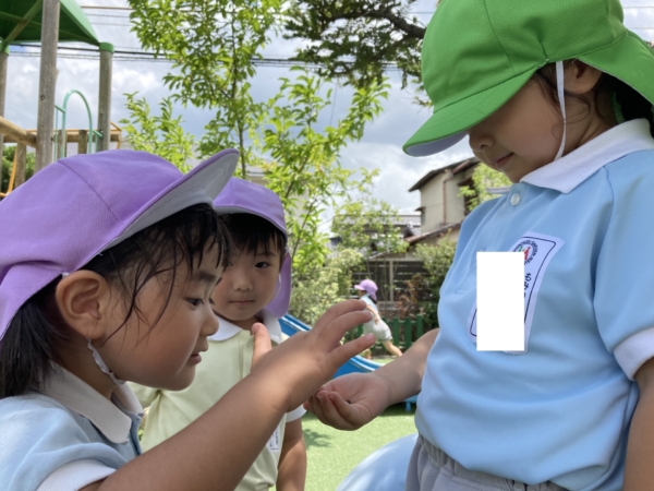 年中組特集(髙村)