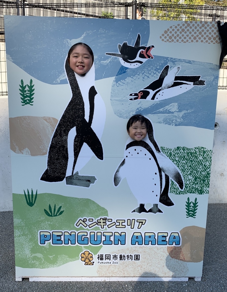 未就園児さんへのお知らせ＆最近のイロイロ（安部）
