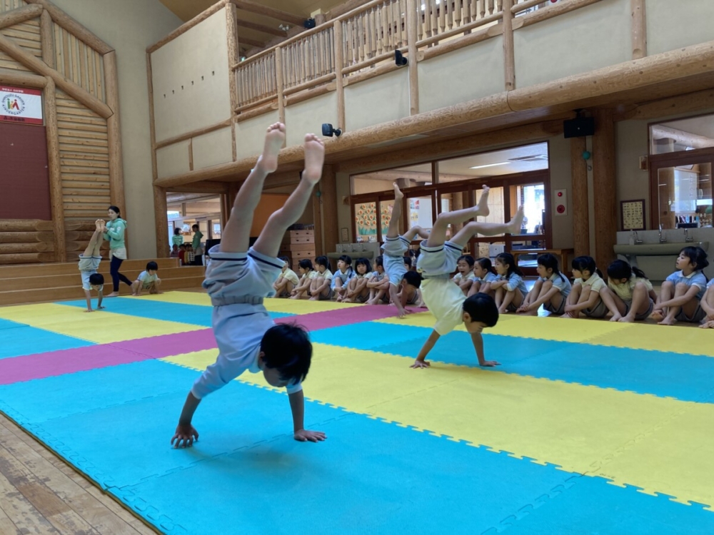 最後の幼稚園（假水）