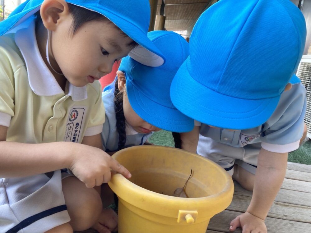 今日は何をしたかな?&木戸先生おめでとう!(真﨑・岡本)
