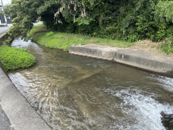 この時期になると…(瀧川)
