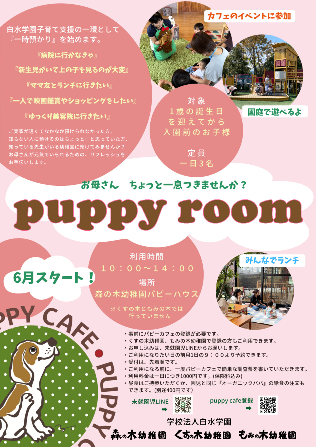 ６月より、一時預かり『puppy room』が始まります！