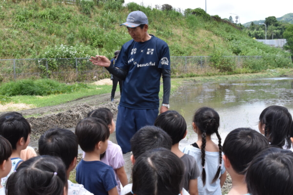 もみの木:年長田植え&潮平先生来園!(松本)