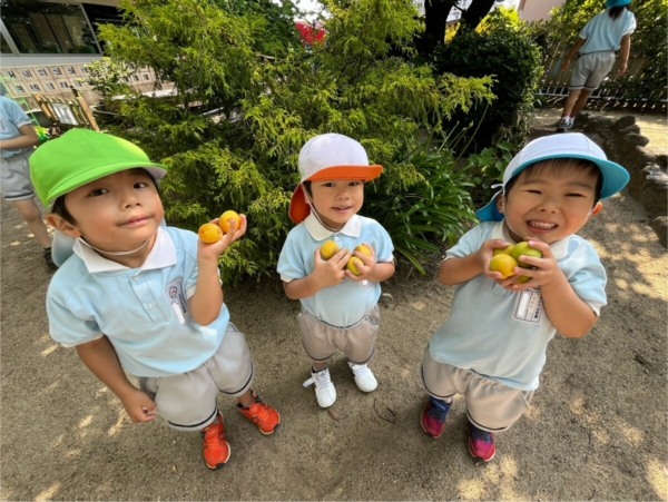 もみの木:今日は!(江口)