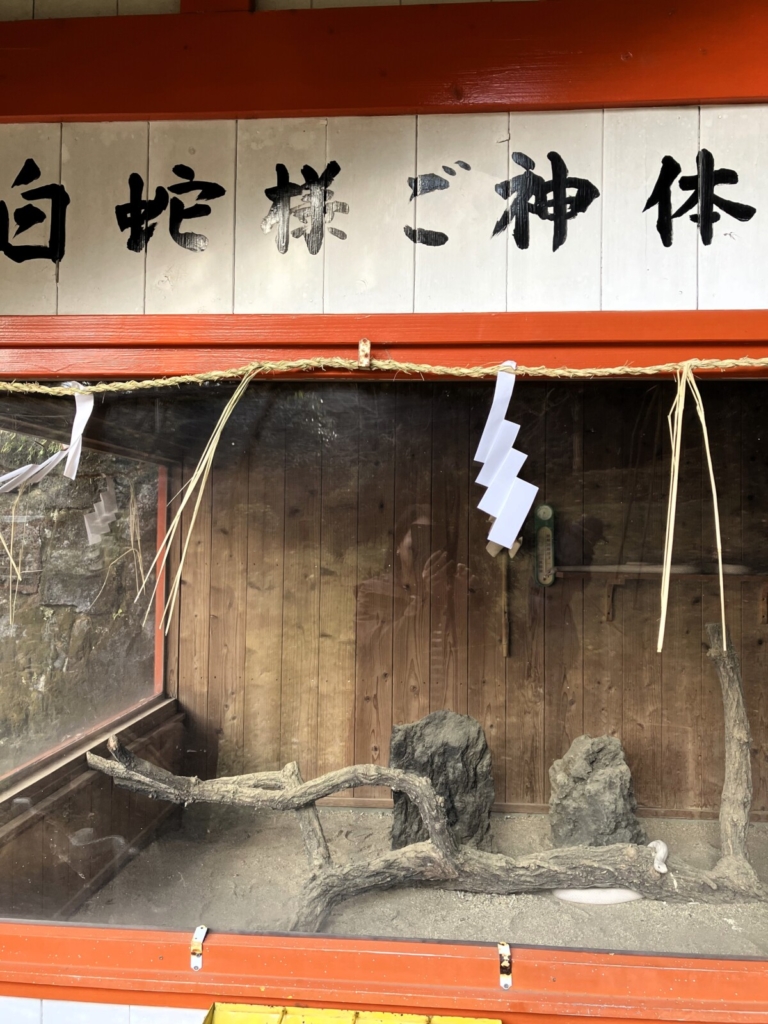 巳年（森川）