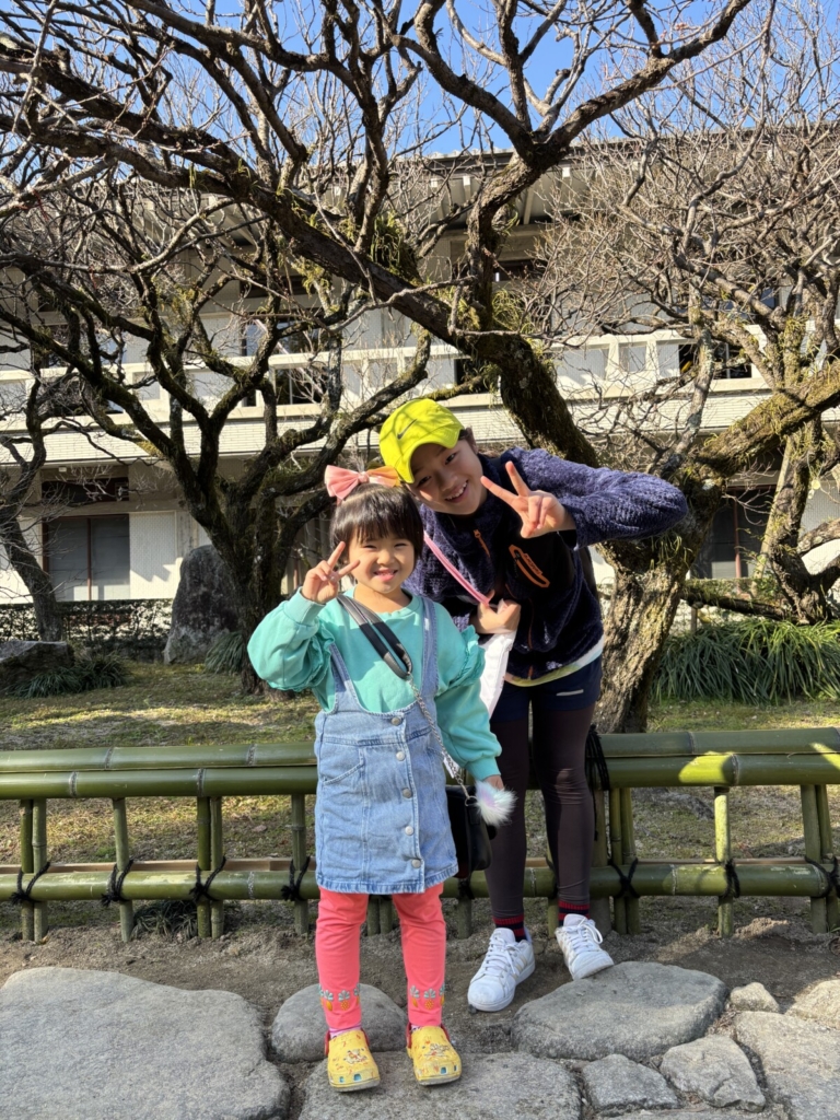 くすの木：新年！！(安部）