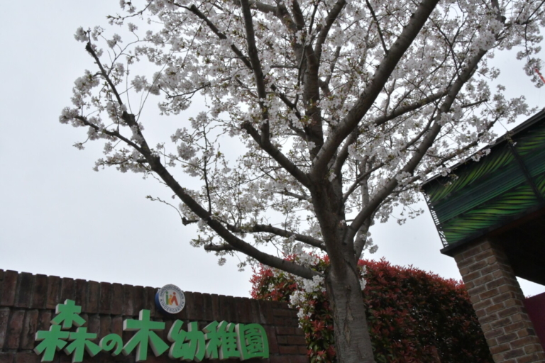 令和７年度　スタート（松尾）