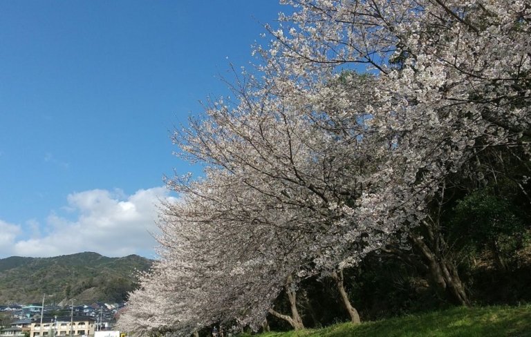 よろしくお願いします（鷹取）