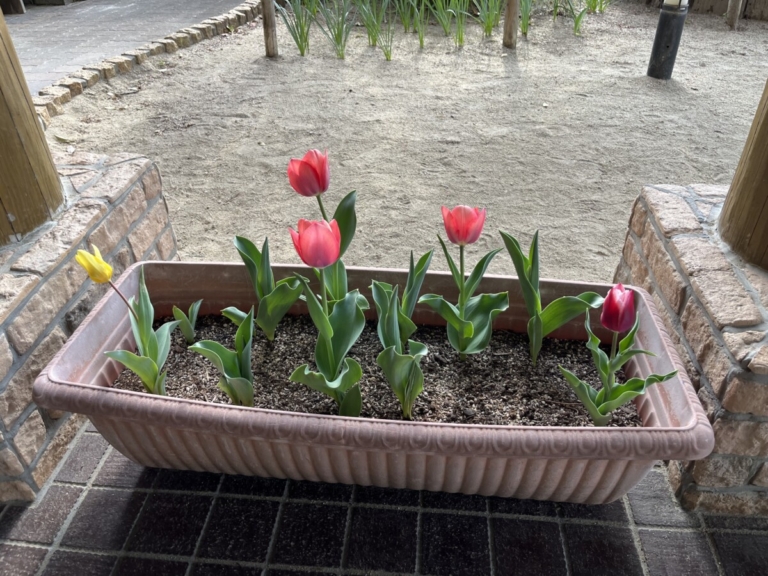 防犯訓練（宮部）