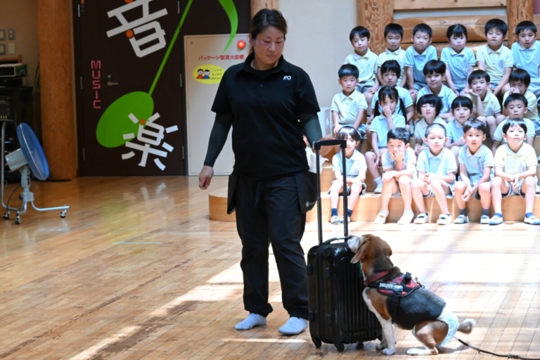 ギンちゃんがやってきた！（田中）