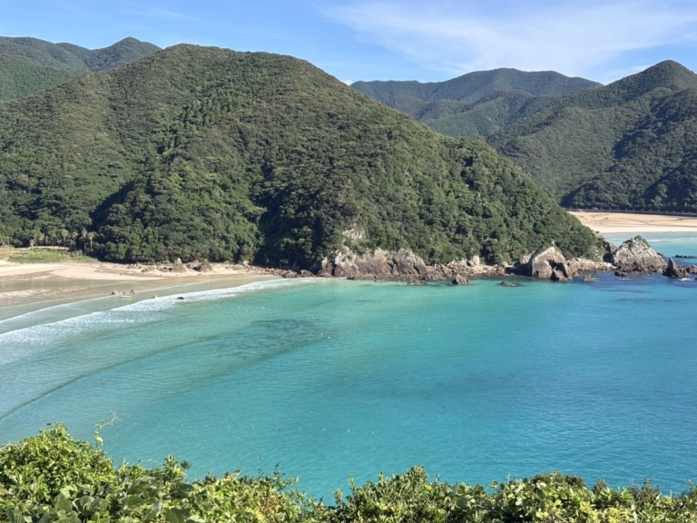先生達の夏休みの過ごし方って…！？