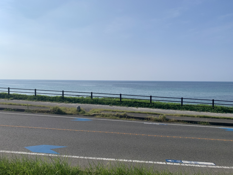くすの木：お久しぶりです（諸熊）