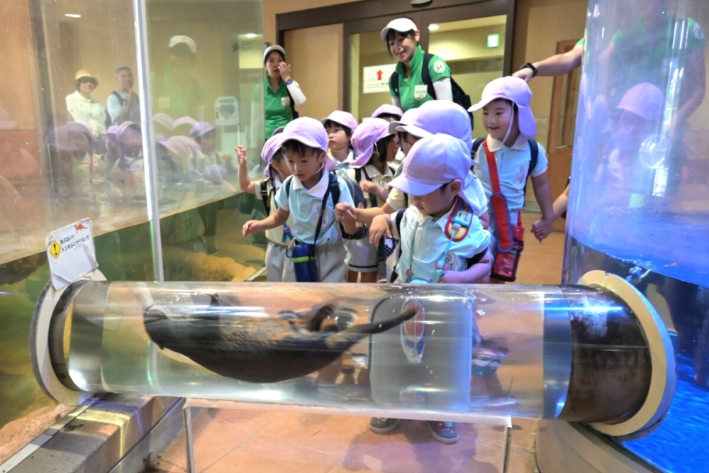 森の木：動物園遠足（小嶺）