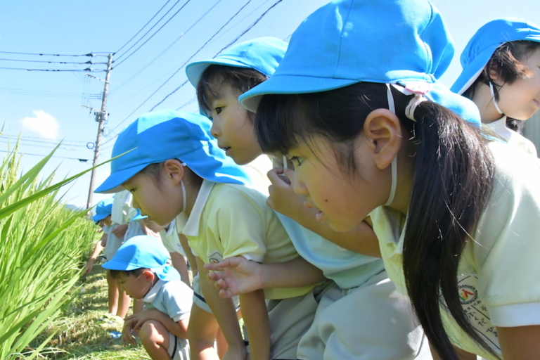 くすの木：空気砲の実験！？＆田んぼ見学＆にじ組ご褒美（田嶋）
