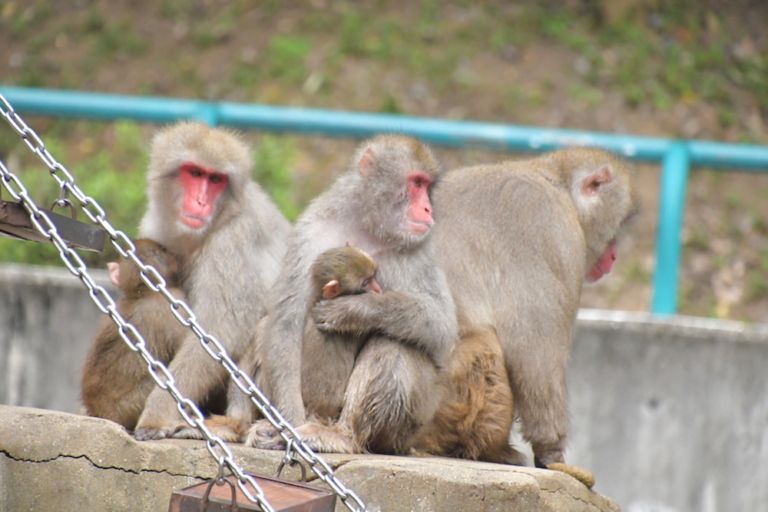 動物園遠足！（和田）