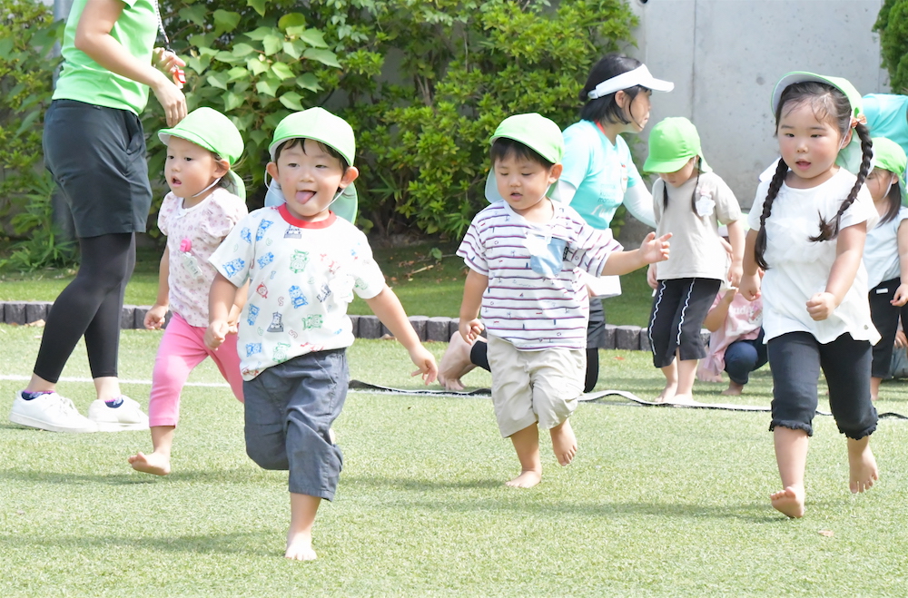 くすの木：元気いっぱい！（楠本侑希）