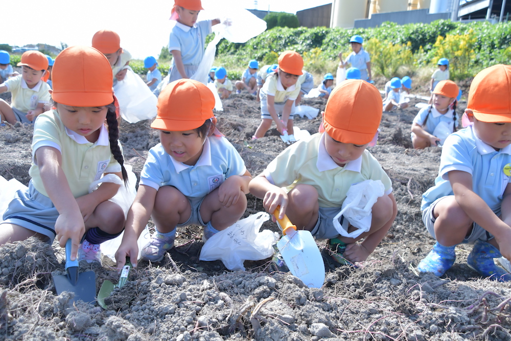 わくわく芋ほり！（楠本侑希）