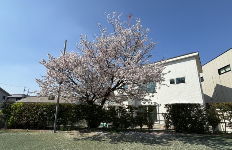 新年度スタート‼（田中）