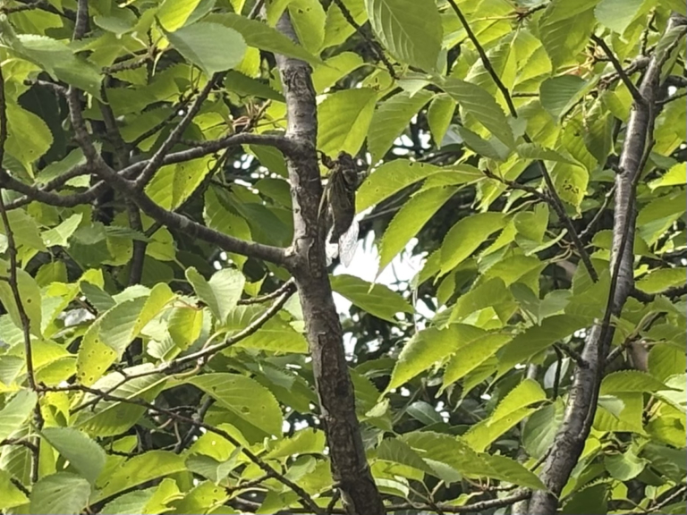 先生達の夏休み開始！（田中）