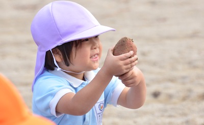 芋掘り遠足（山崎）