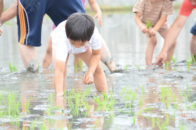 体験！！（今永）