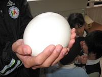 20101214tamago.jpg