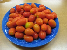 2010806 tomato.jpg